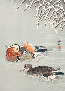 Mandarin ducks 1925 &mdash; Birds Art metal poster