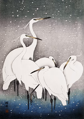 Group of Egrets 1925 &mdash; Birds Art metal poster